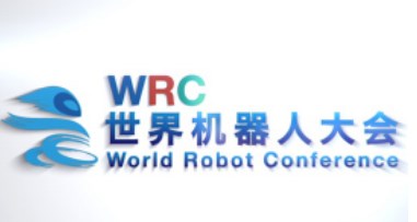 2024˴߲WRC