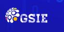 GSIE-߽ȫӼ뵼ҵ죩