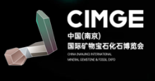 2022中国(南京)国际矿物宝石化石博览会logo图标