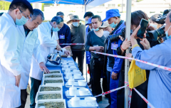 2022中国・千岛湖茶博览会开幕