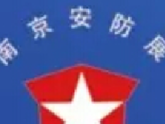 2023年（第二十一届）南京安防展logo图标